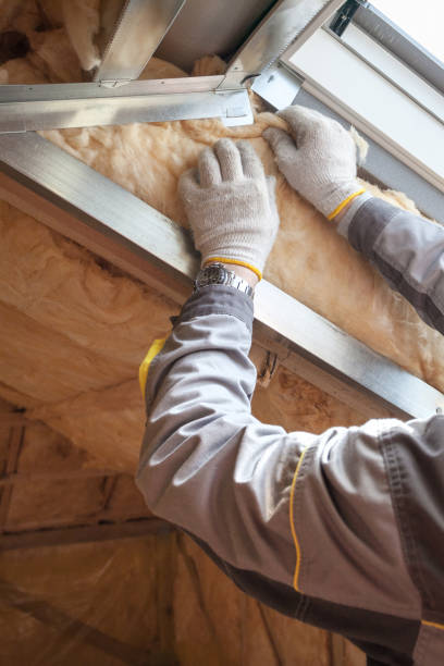 Best Residential Insulation in Ixonia, WI